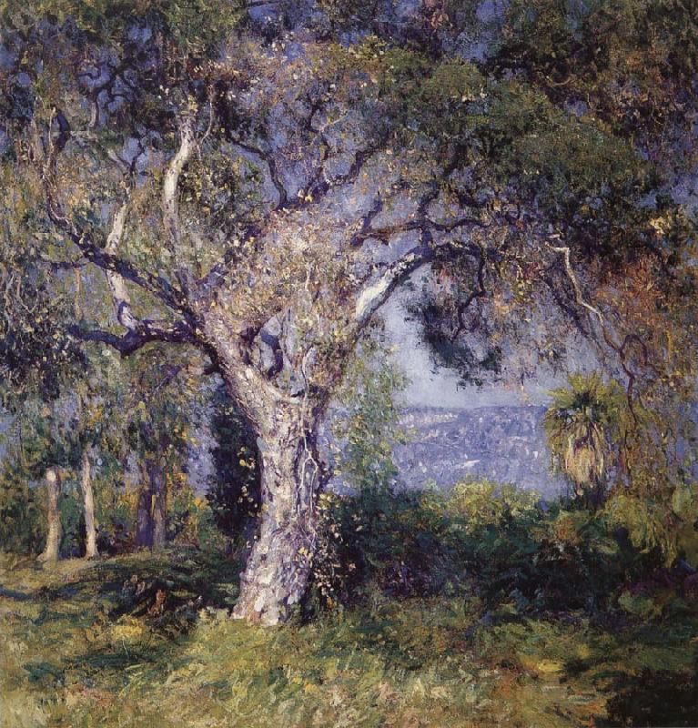 Guy Rose The Oak